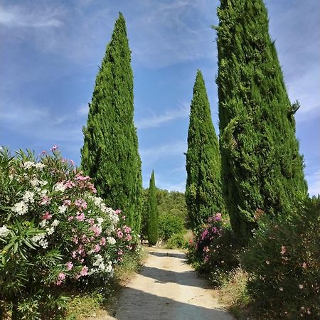 Maison Chemin D'Uzes Blauzac  Kültér fotó