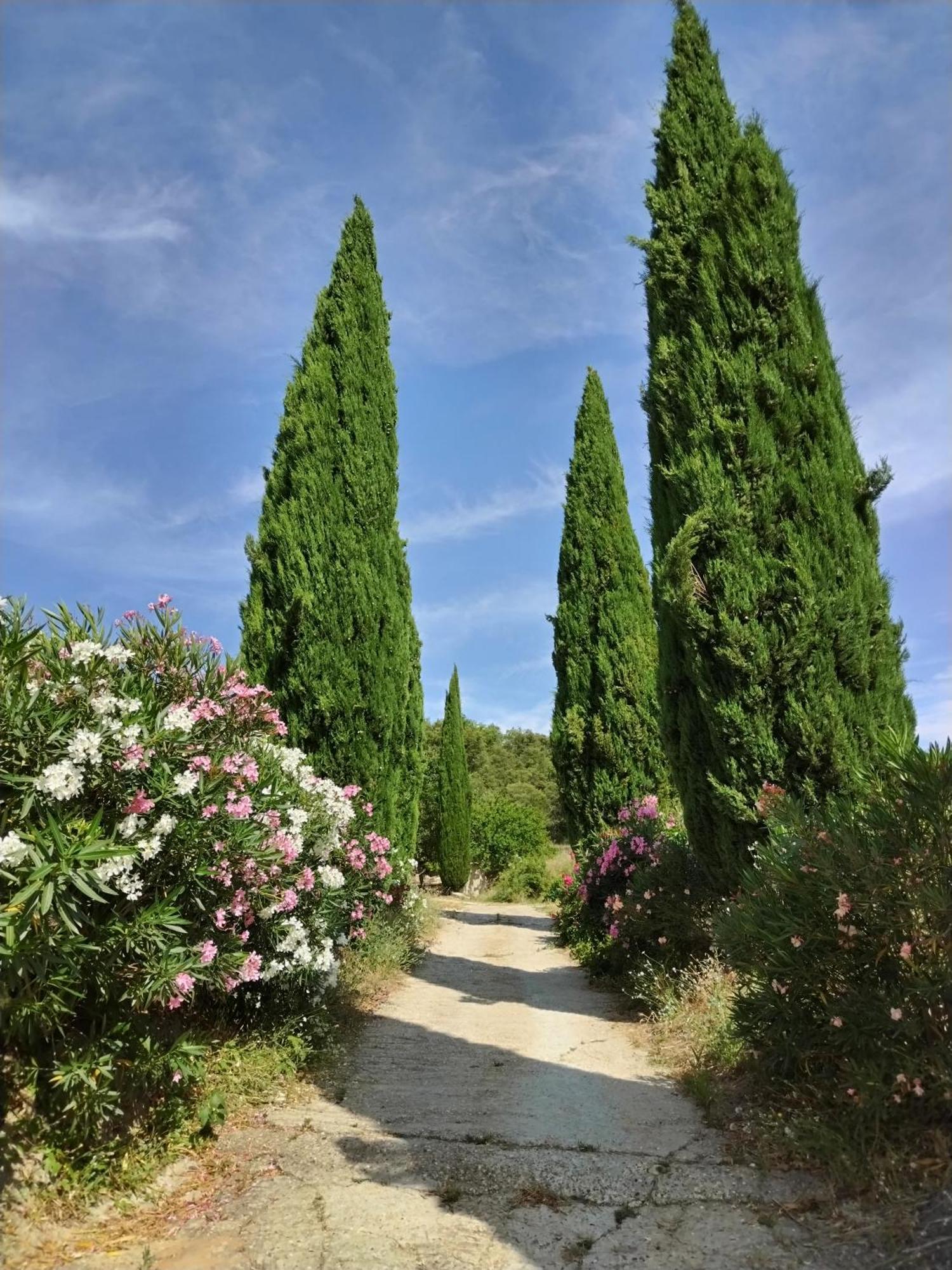 Maison Chemin D'Uzes Blauzac  Kültér fotó