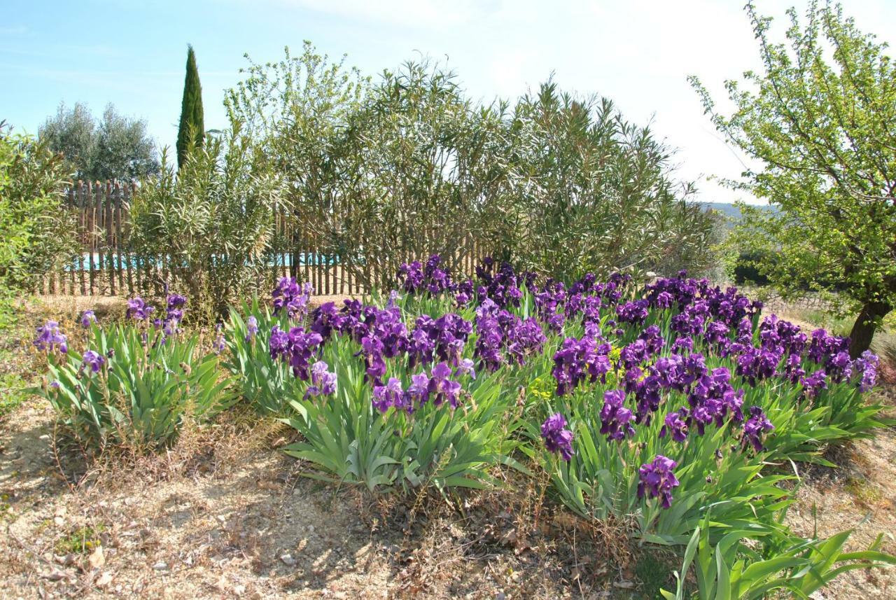 Maison Chemin D'Uzes Blauzac  Kültér fotó
